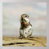 Gopher_005 ポスター (正面)