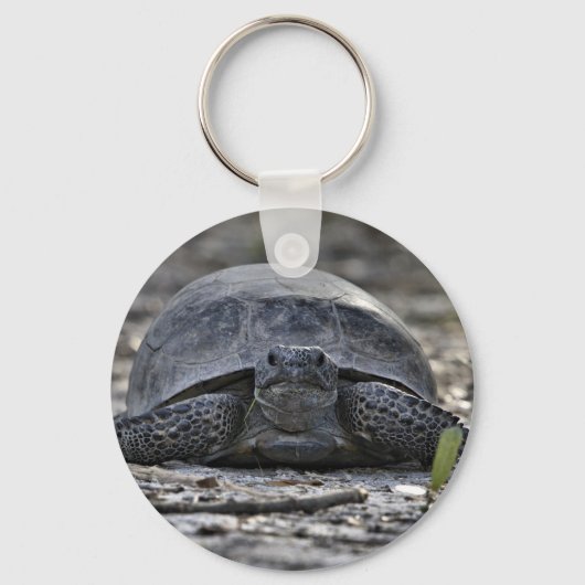 Gopher Tortoise Photo Keychain キーホルダー (正面)
