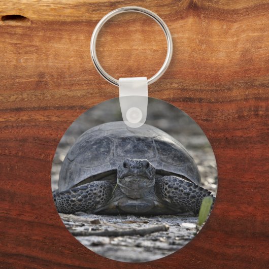 Gopher Tortoise Photo Keychain キーホルダー (正面)