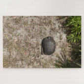 Gopher Tortoise Rescue - Quiet Ember Puzzles ジグソーパズル (横)
