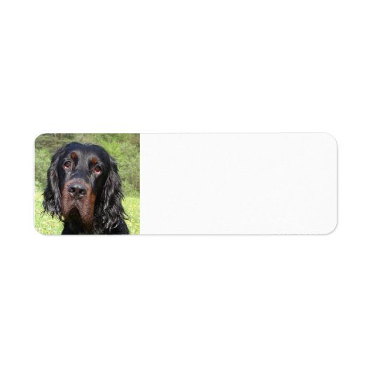 gordon setter.png ラベル (正面)