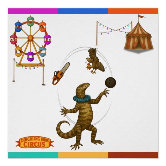Gordy, goanna juggler ポスター (正面)