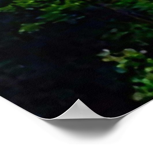 GORGE IN ITHACA NEW YORK CANVAS PRINT ポスター (角)