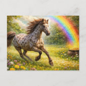 Gorgeous Appaloosa at the Rainbow ポストカード (正面)