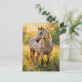 Gorgeous Appaloosa Horse in the Meadow  ポストカード (スタンド正面)
