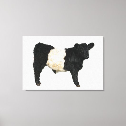 Gorgeous Belted Galloway Steer Cutout Beltie Gift  キャンバスプリント (正面)