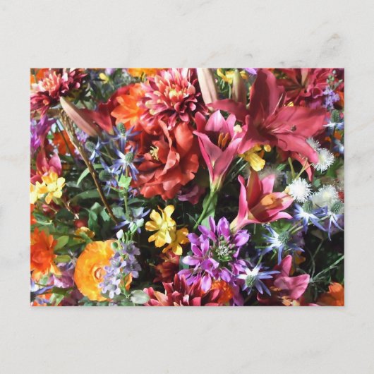 gorgeous, flamboyant flowers. ポストカード (正面)