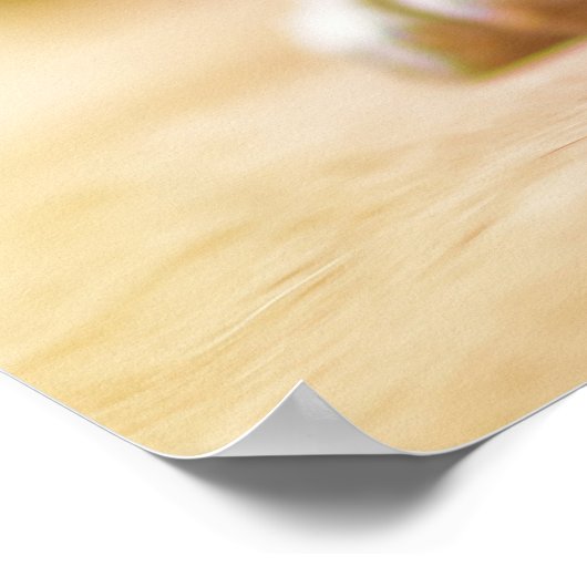 Gorgeous french bulldog lying down ポスター (角)