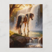 Gorgeous Horse at the Waterfall ポストカード (正面)