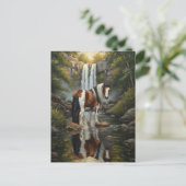 Gorgeous Pinto Horse at the Waterfall ポストカード (スタンド正面)