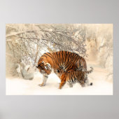 Gorgeous tiger and cub in snow ポスター (正面)