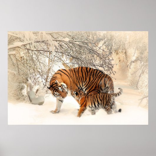Gorgeous tiger and cub in snow ポスター (正面)