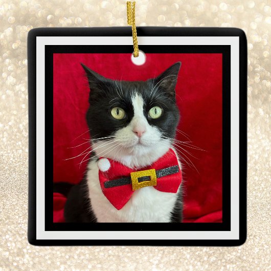 Gorgeous Tuxedo Cat Christmas Ornament  セラミックオーナメント