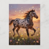 Gorgeous Year of the Horse Appaloosa in Meadow ポストカード (正面)