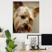 Gorgeous Yorkshire Terrier ポスター (ホームオフィス)