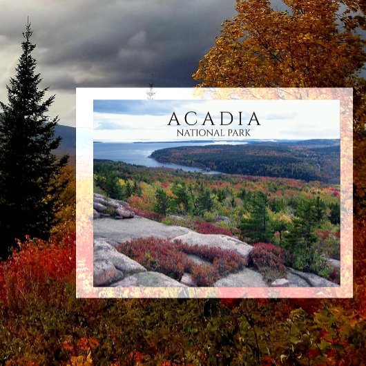 Gorham Mountain Acadia National Park, MEから表示 ポストカード