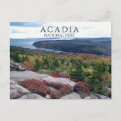 Gorham Mountain Acadia National Park, MEから表示 ポストカード (正面)