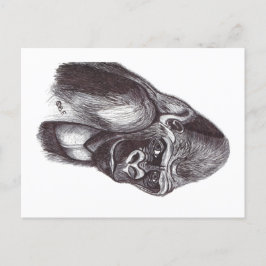 GORILA シーズンポストカード