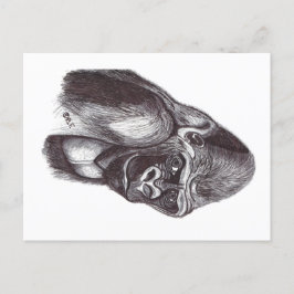 GORILA ポストカード