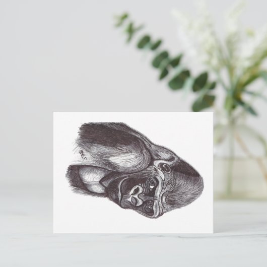 GORILA ポストカード (スタンド正面)