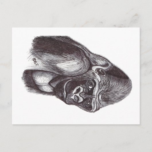 GORILA ポストカード (正面)