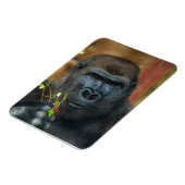 Gorillaと彼の果実の写真 マグネット (左側)