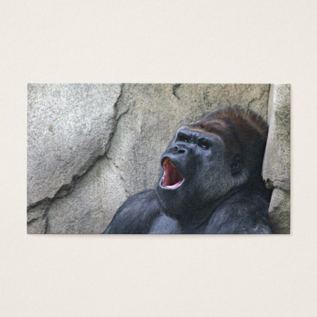 Gorillaのプロファイルカードを歌う (正面)