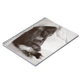 Gorillaの写真を昼寝 ノートブック (左側)