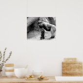 Gorillaの雄プロフィール（白黒） ポスター (キッチン)