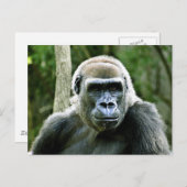 Gorillaプロファイルはがき ポストカード (正面/裏面)