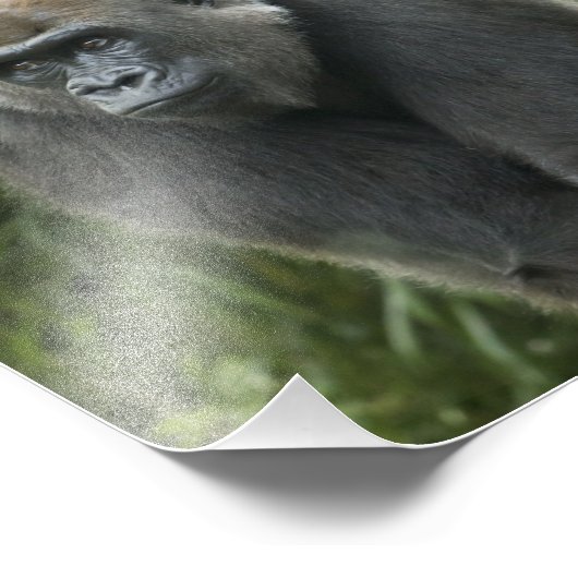 Gorilla写真 フォトプリント (角)