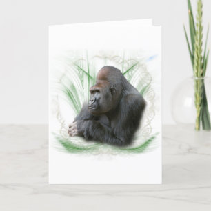 gorilla1 シーズンカード