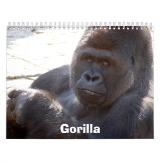 Gorilla_004のゴリラ カレンダー
