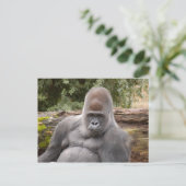 Gorilla_021 ポストカード (スタンド正面)