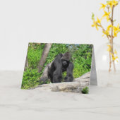 Gorilla (0536)グリーティングカード カード (黄色い花)