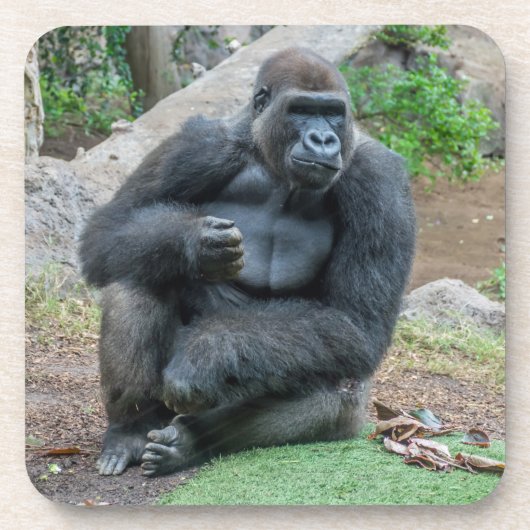 Gorilla at the zooの懸命プラスチックのコースター コースター (正面)