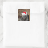 Gorilla Biddy in a Festive Christmas Hat スクエアシール (バッグ)
