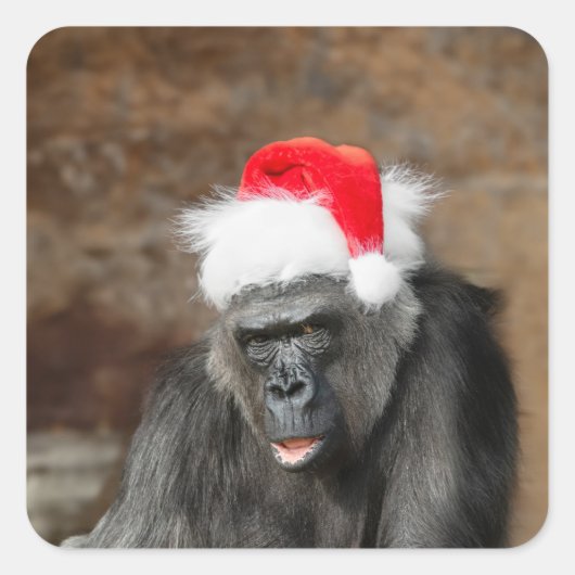 Gorilla Biddy in a Festive Christmas Hat スクエアシール (正面)