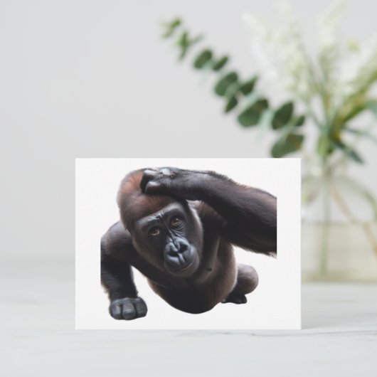 Gorilla doing push-ups. ポストカード (スタンド正面)