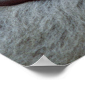 Gorilla Mother and Baby ポスター (角)