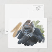 Gorilla Primateはがき ポストカード (正面/裏面)