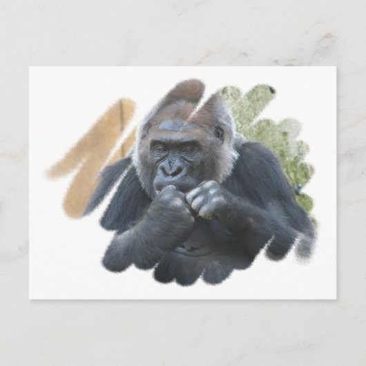 Gorilla Primateはがき ポストカード (正面)