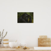 Gorilla Reflection – 思いやりのある野生生物ポートレート ポスター (キッチン)