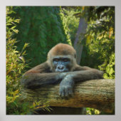 GORILLA  “SAVE OUR SPECIES” ポスター (正面)