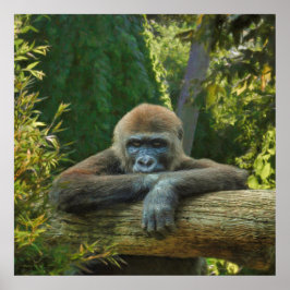 GORILLA  “SAVE OUR SPECIES” ポスター