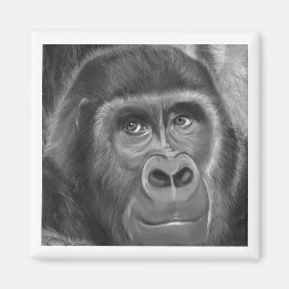 Gorilla sucking fingers Magnet2指しゃぶりのゴリラマグネット マグネット