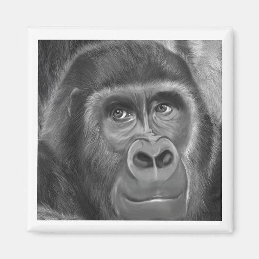 Gorilla sucking fingers Magnet2指しゃぶりのゴリラマグネット マグネット (正面)