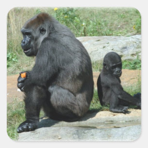 Gorilla Time Outスタンプ スクエアシール