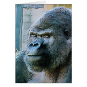 GORILLASカード (正面)