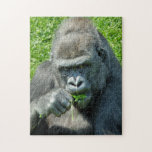 GORILLAS ジグソーパズル<br><div class="desc">What a handsome boy! Although this gorilla was a little shy about having his photo taken.</div>